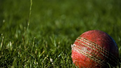 2024年NBA季后赛对阵图与各球队晋级概率分析专题