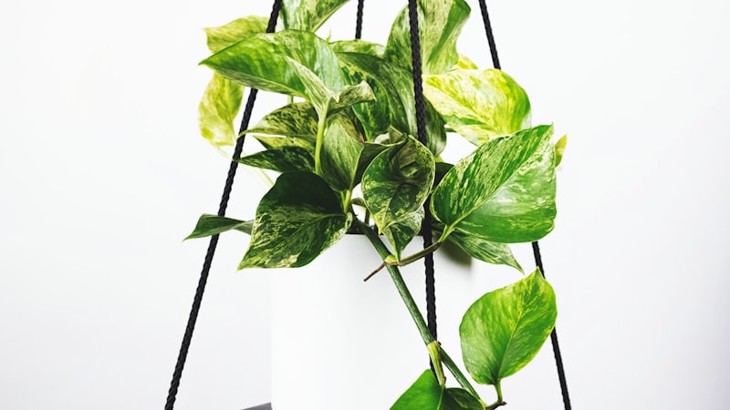 2023英超联赛前四争夺战形势深度分析